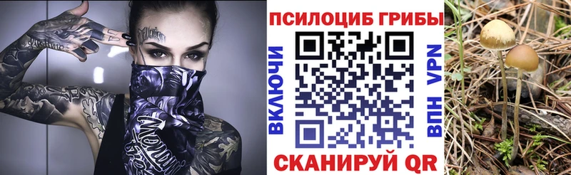 Псилоцибиновые грибы MAGIC MUSHROOMS  где купить   Кувандык 