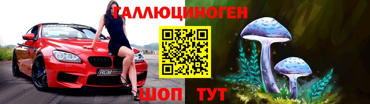 Галлюциногенные грибы Psilocybine cubensis Кувандык
